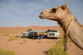 /album/oman-januar-2015/ccg-2015-lr-2557-jpg/